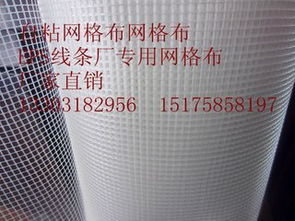 EPS線條自粘網(wǎng)格布價(jià)格及生產(chǎn)廠家指南 安平縣君泰絲網(wǎng)制品廠的專(zhuān)業(yè)解析